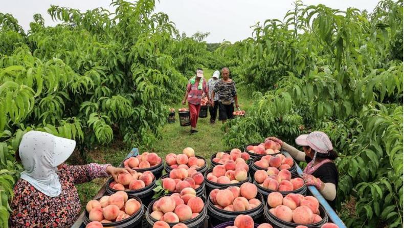 1662384124128076.jpg 166220892214276983.jpg