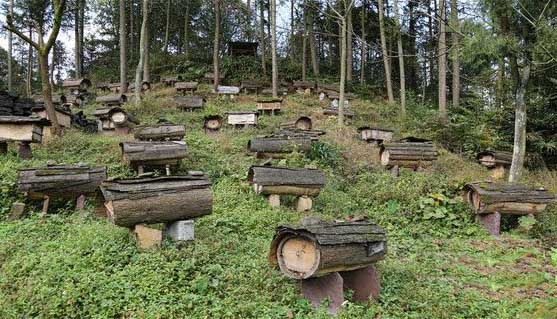 1663236024996743.jpg 166314224486076975.jpg