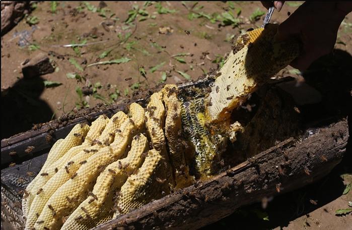 1663236045902576.jpg 166314224486467741.jpg