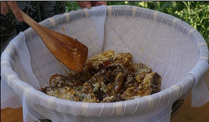 1663236088206233.jpg 166314224486578205.jpg