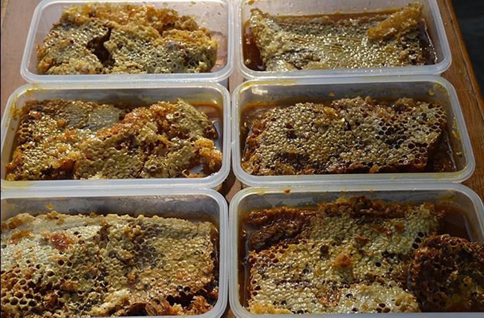 1663236439838563.jpg 166314224486726673.jpg