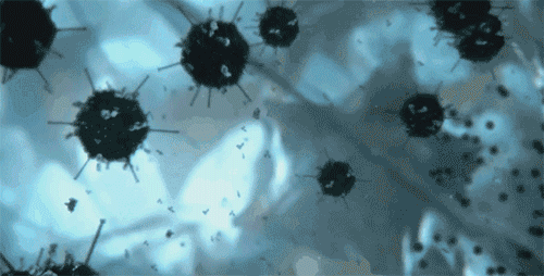 1688040473524405.gif 20230628_152606_255_20230629094213_046.gif