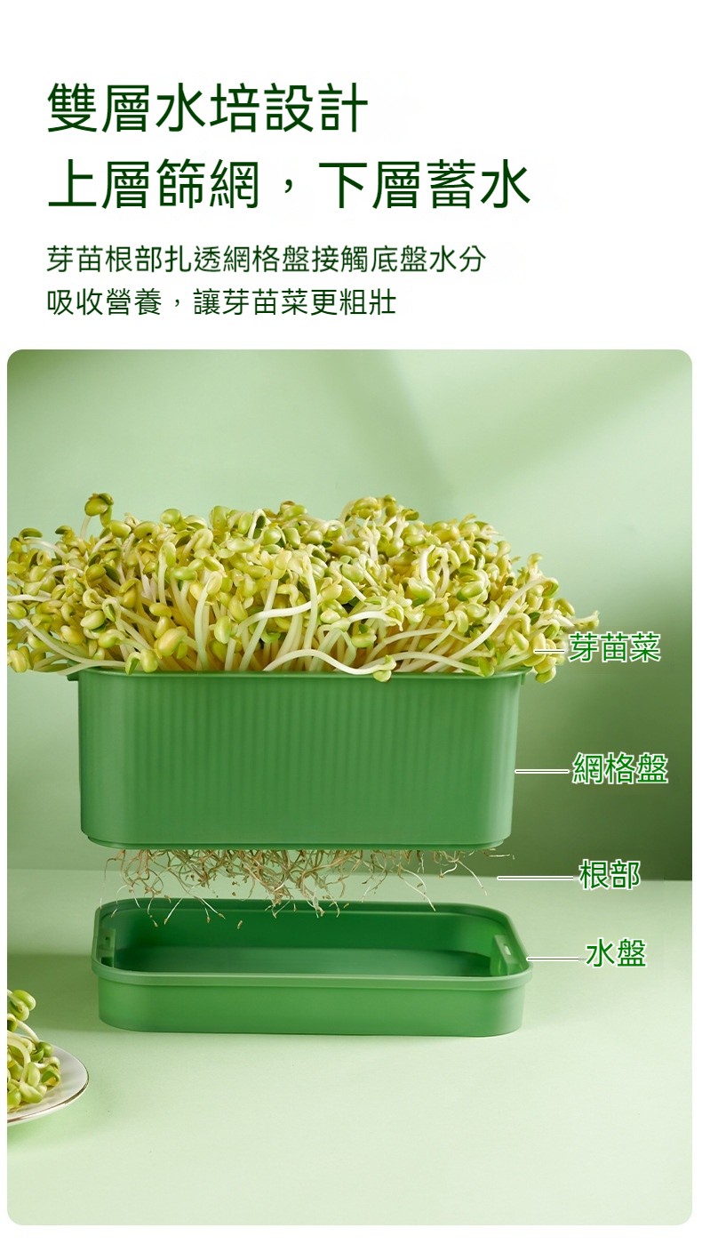 1743105723361944.jpg 2024octpm7c4f1e7e187fcae36699399.jpg