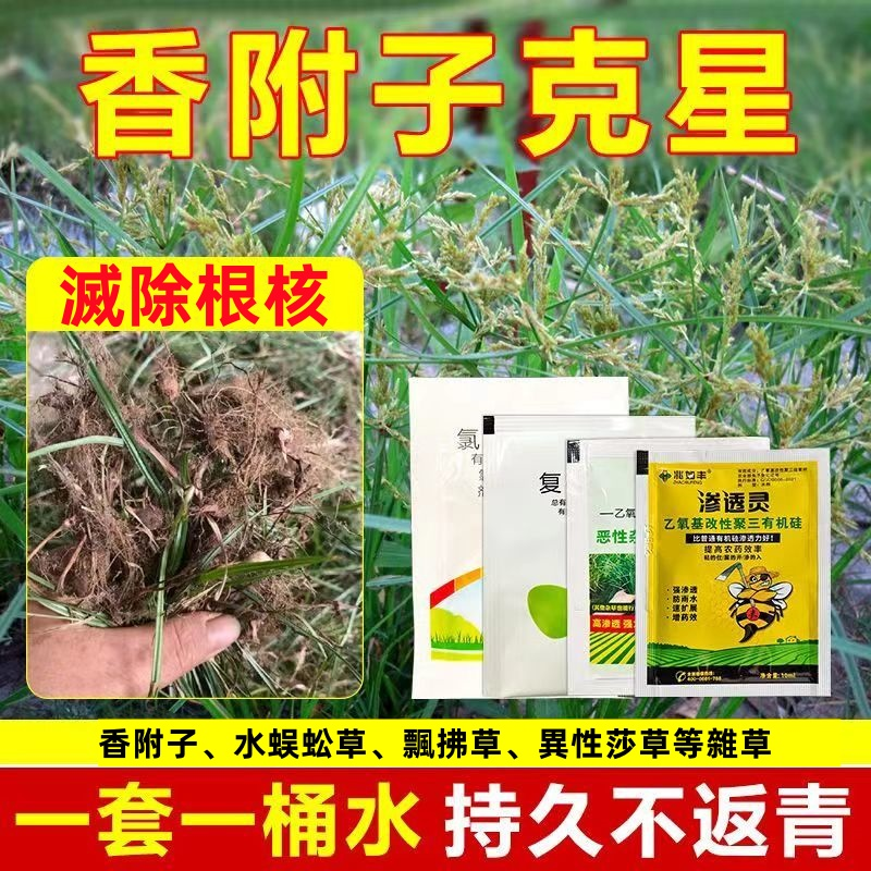 雜草之王剋星香附子克星】強效升級版四合一新配方滁異形莎草科有機質助劑