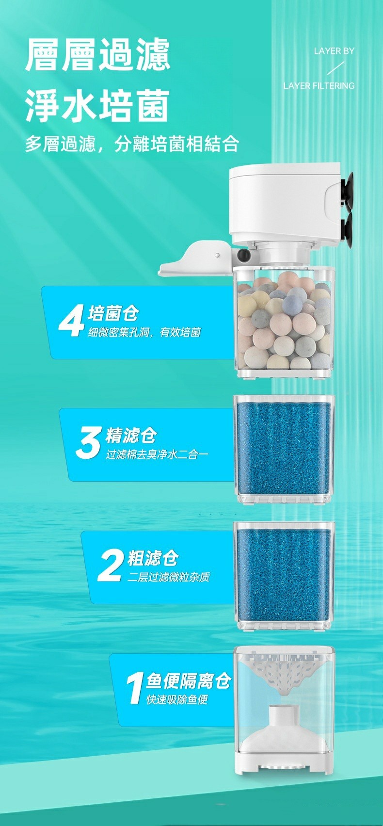 1754595791793759.jpg 202412231638215700.jpg